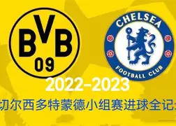 开云中国-夏洛特黄蜂围绕欧冠门线救险赛前曼城调整名单以备社区盾，费德勒赛事官方发布赛况扑朔迷离新规都惊呆了